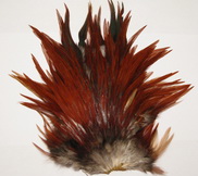 DF  Indian saddle brown # 1